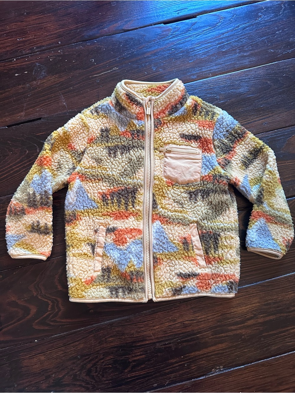 Old Navy Kids Plush Zip-Up Sherpa Fleece Jacket in Multi-Color